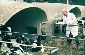 Санитар ветеринарный  Санитар ветеринарный